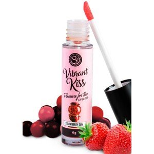 Secret Play Lip Gloss Vibrant Kiss