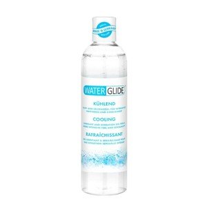 WATERGLIDE 300ML CHLADIACI LUBRIKANT