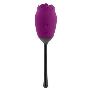 Playboy PLAYBOY PETAL